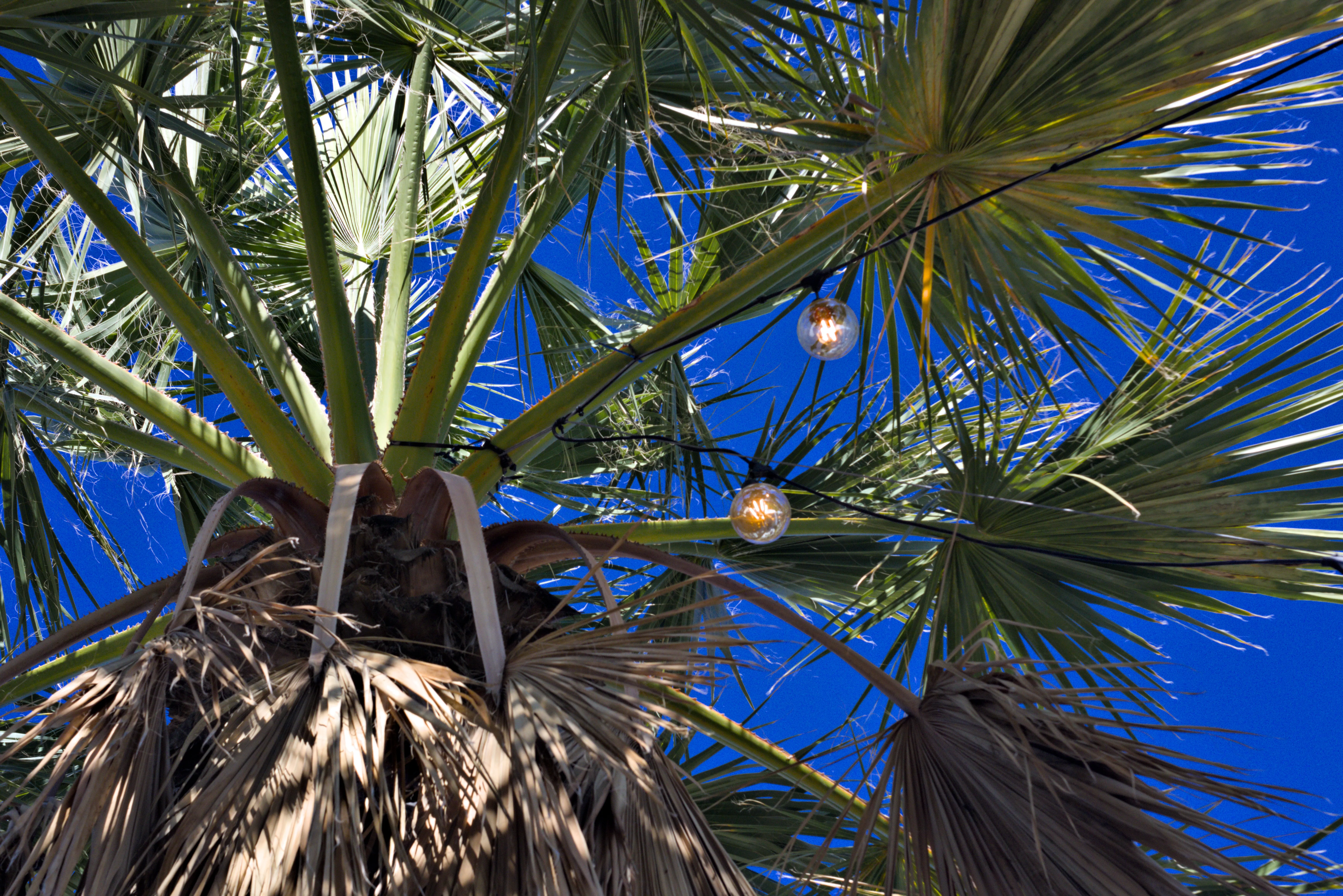 Zenith Helios-77M-4 1,850 (VOMZ) - _I4A5863.webp